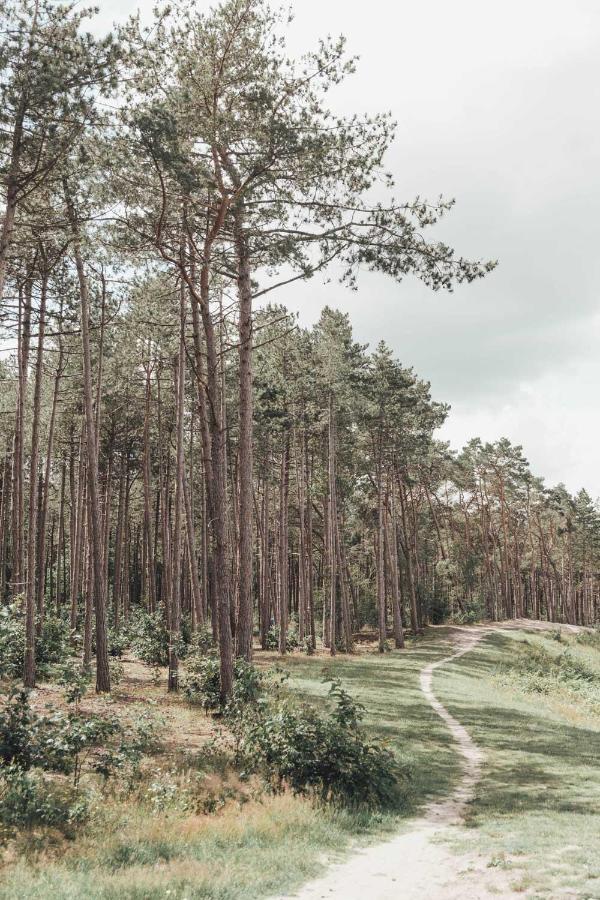 Boshuisje Op De Veluwe Nunspeet Εξωτερικό φωτογραφία