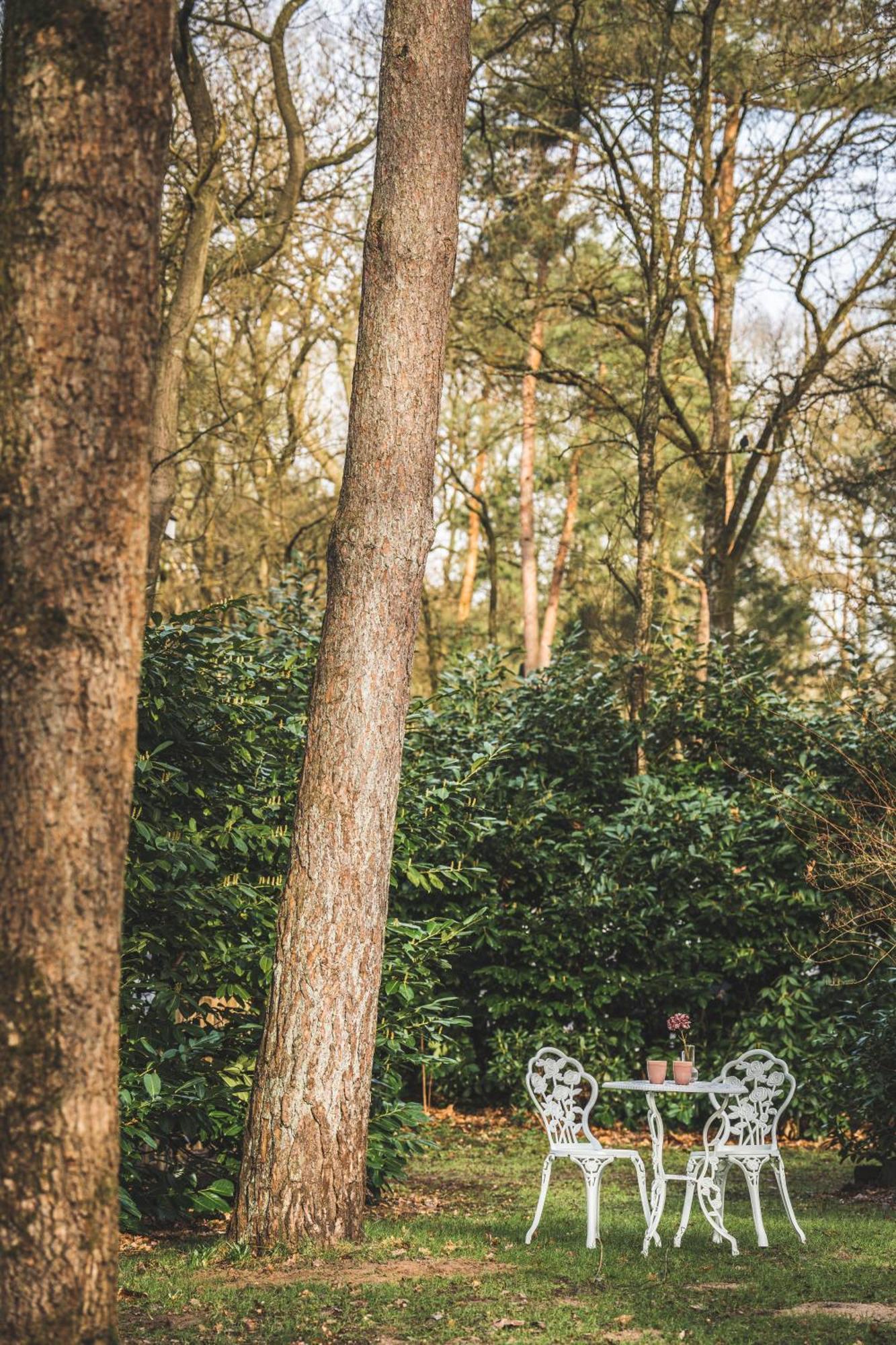 Boshuisje Op De Veluwe Nunspeet Εξωτερικό φωτογραφία